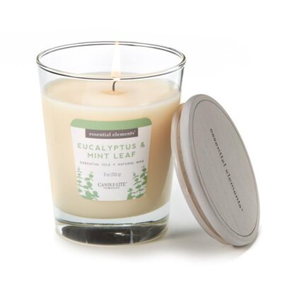 Vela 9 Oz Essential Elements Eucalyptus & Mint Leaf Candle Lite (4471174)